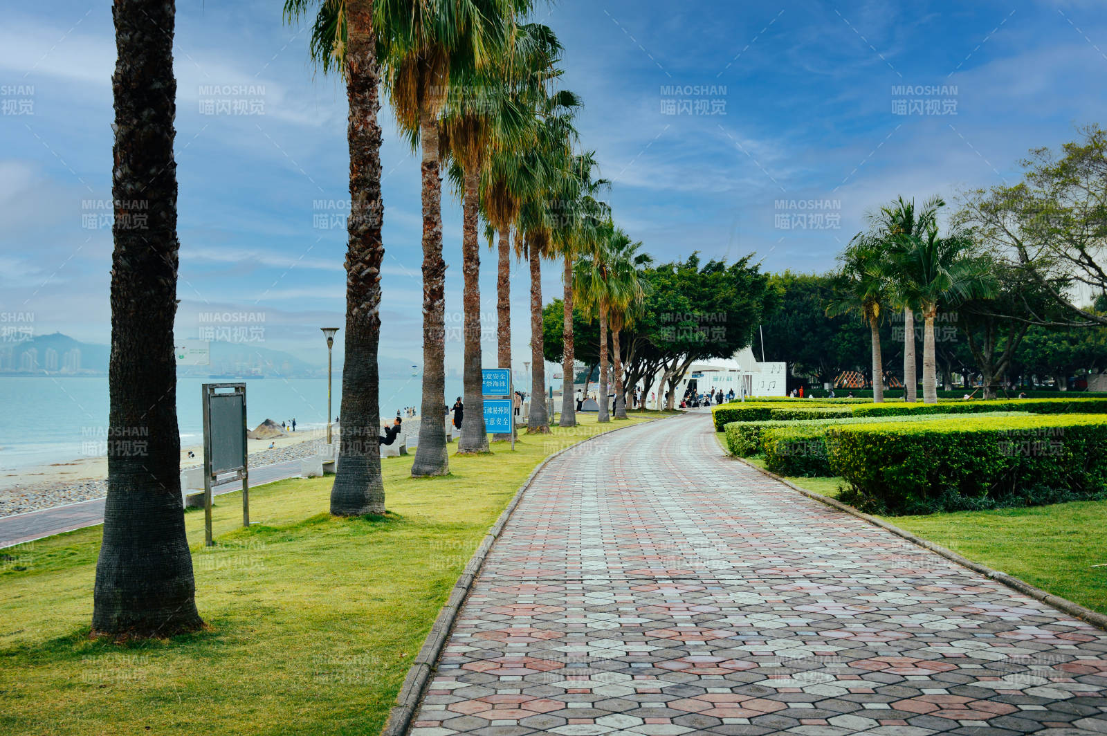 厦门环岛路图片