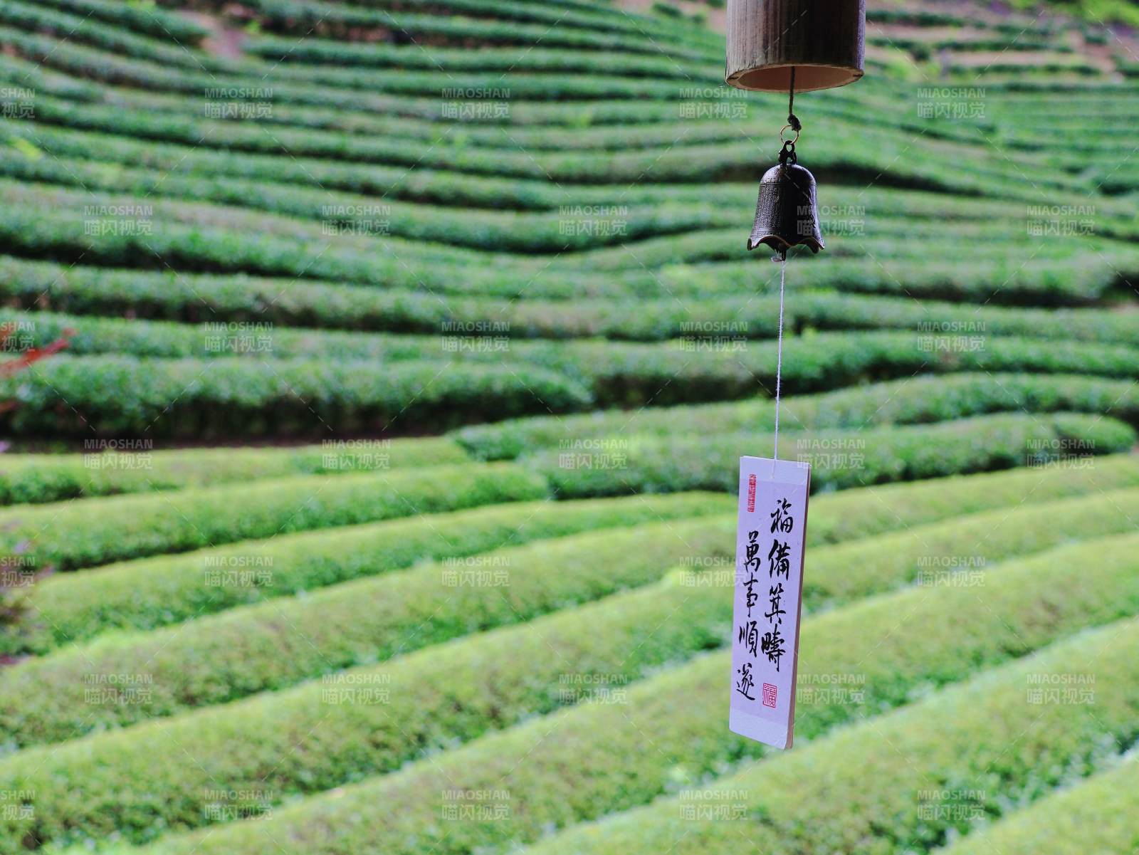 茶园风铃静谧景图片