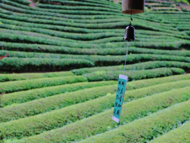 茶山风铃静谧景图片