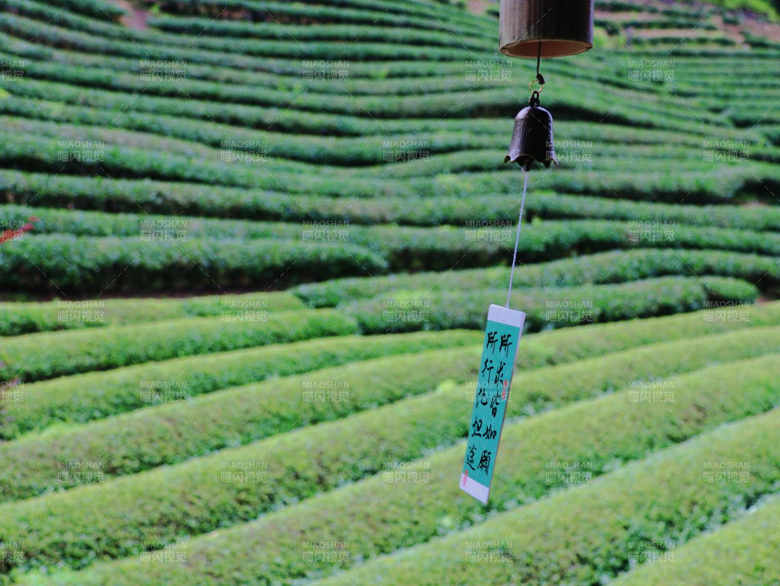 茶山风铃静谧景图片