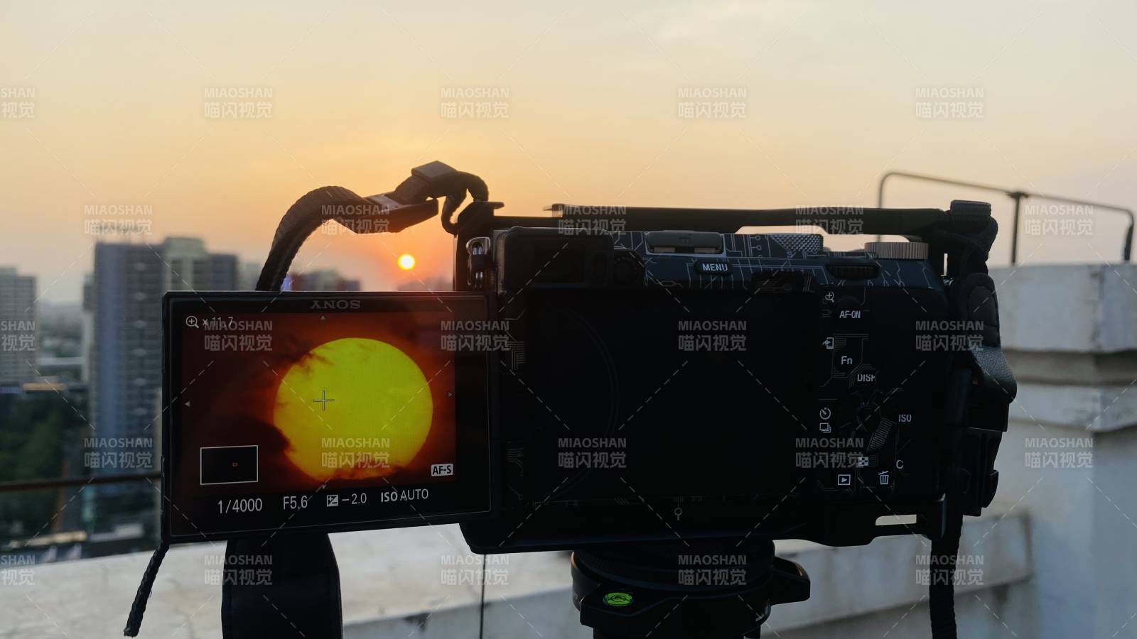 夕阳下的摄影瞬间图片