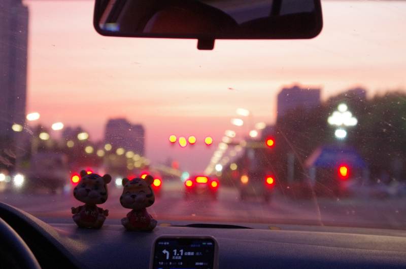 黄昏车行 双猫相伴图片