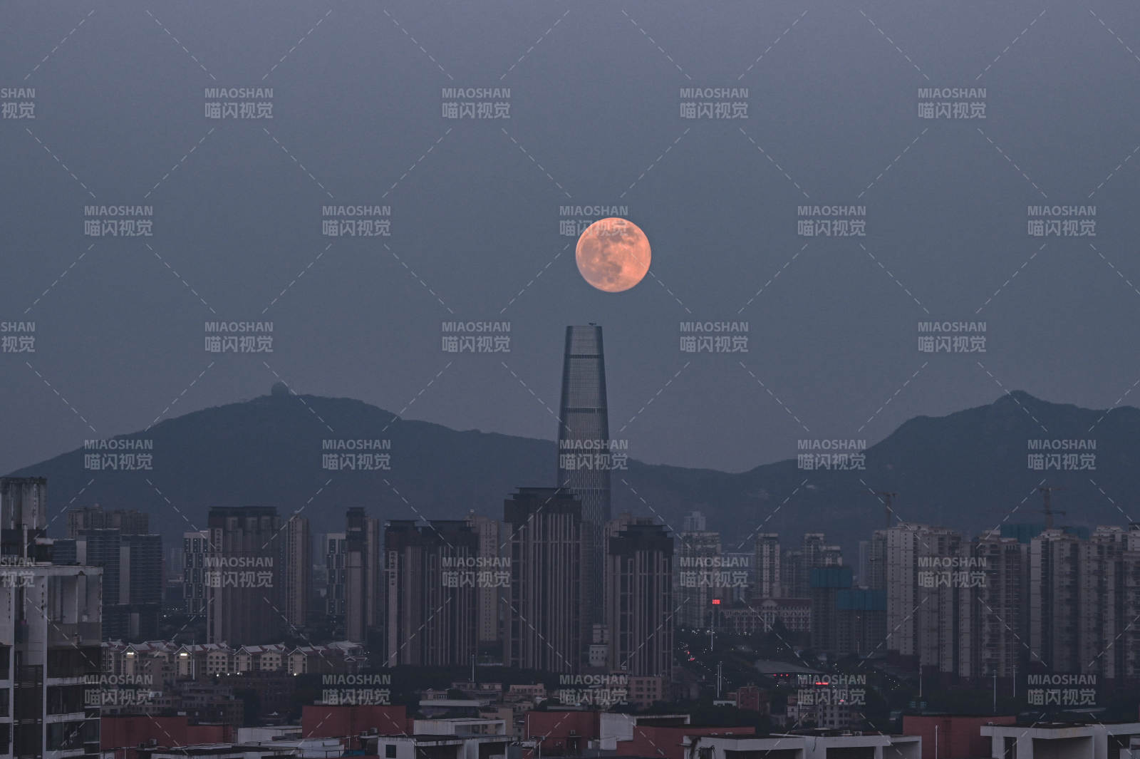 厦门月升城市夜景图片