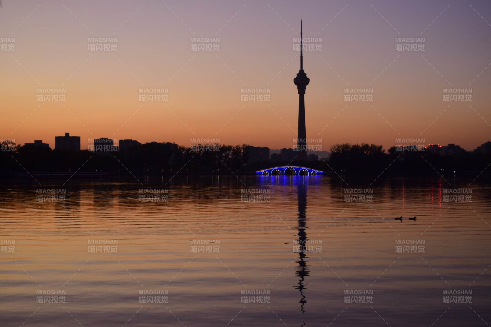 塔影映湖夜色美图片