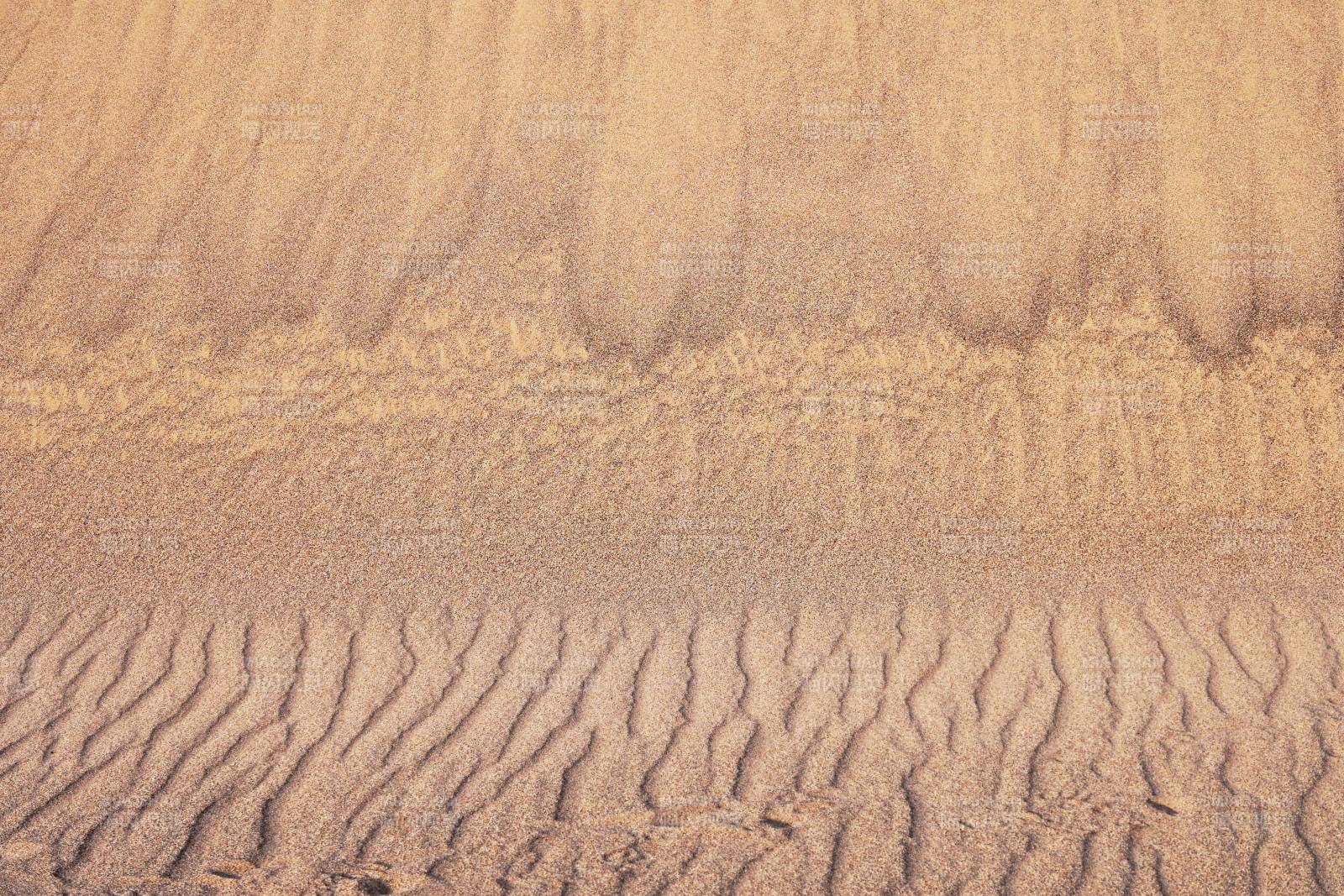 罗布泊大沙漠的自然景观图片