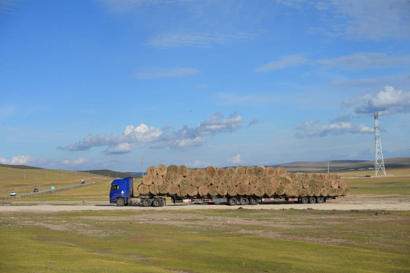 呼伦贝尔运载干草的卡车图片