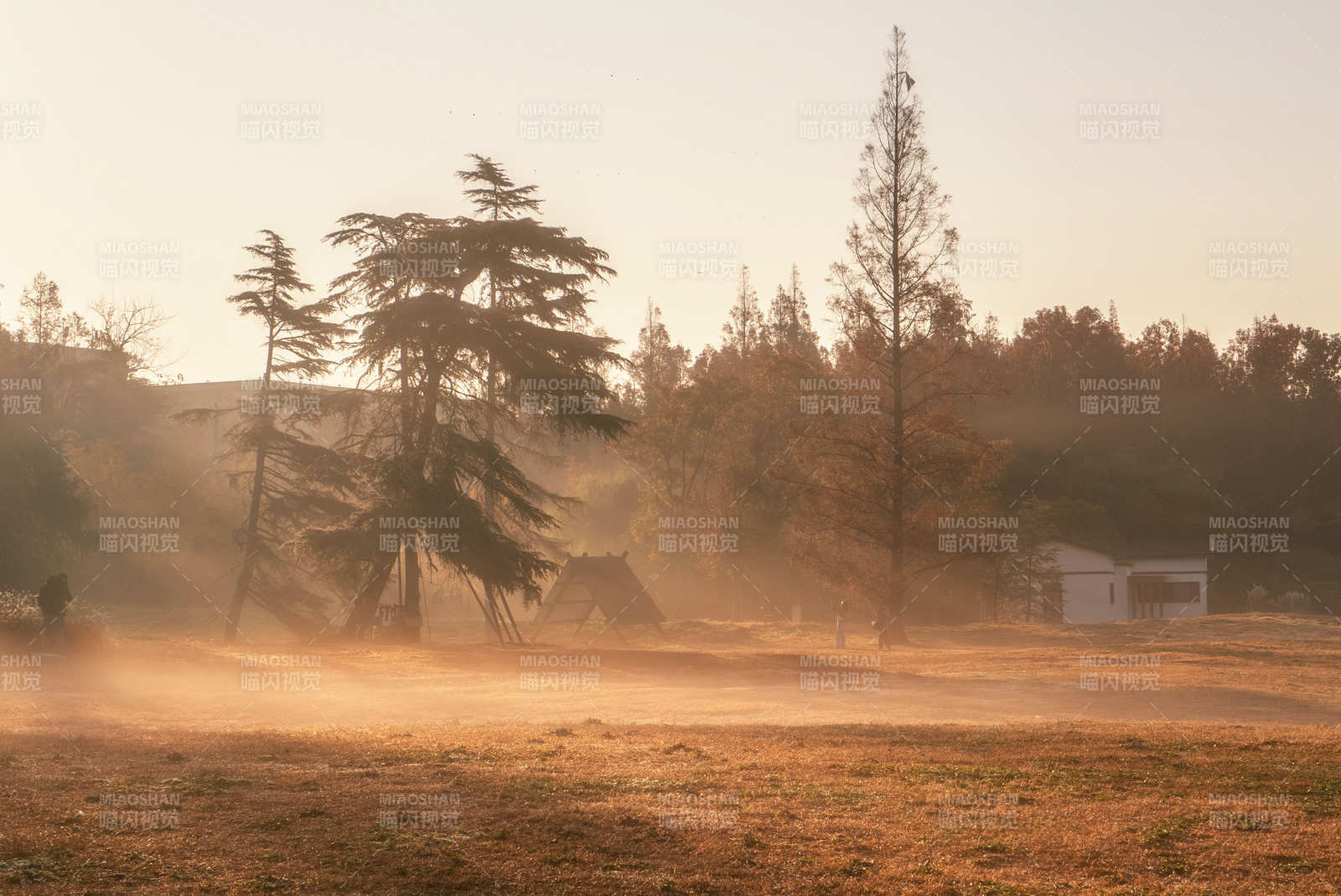 晨雾中的田野风光图片
