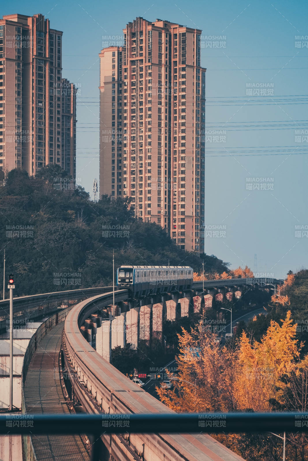 城市轻轨穿林过图片