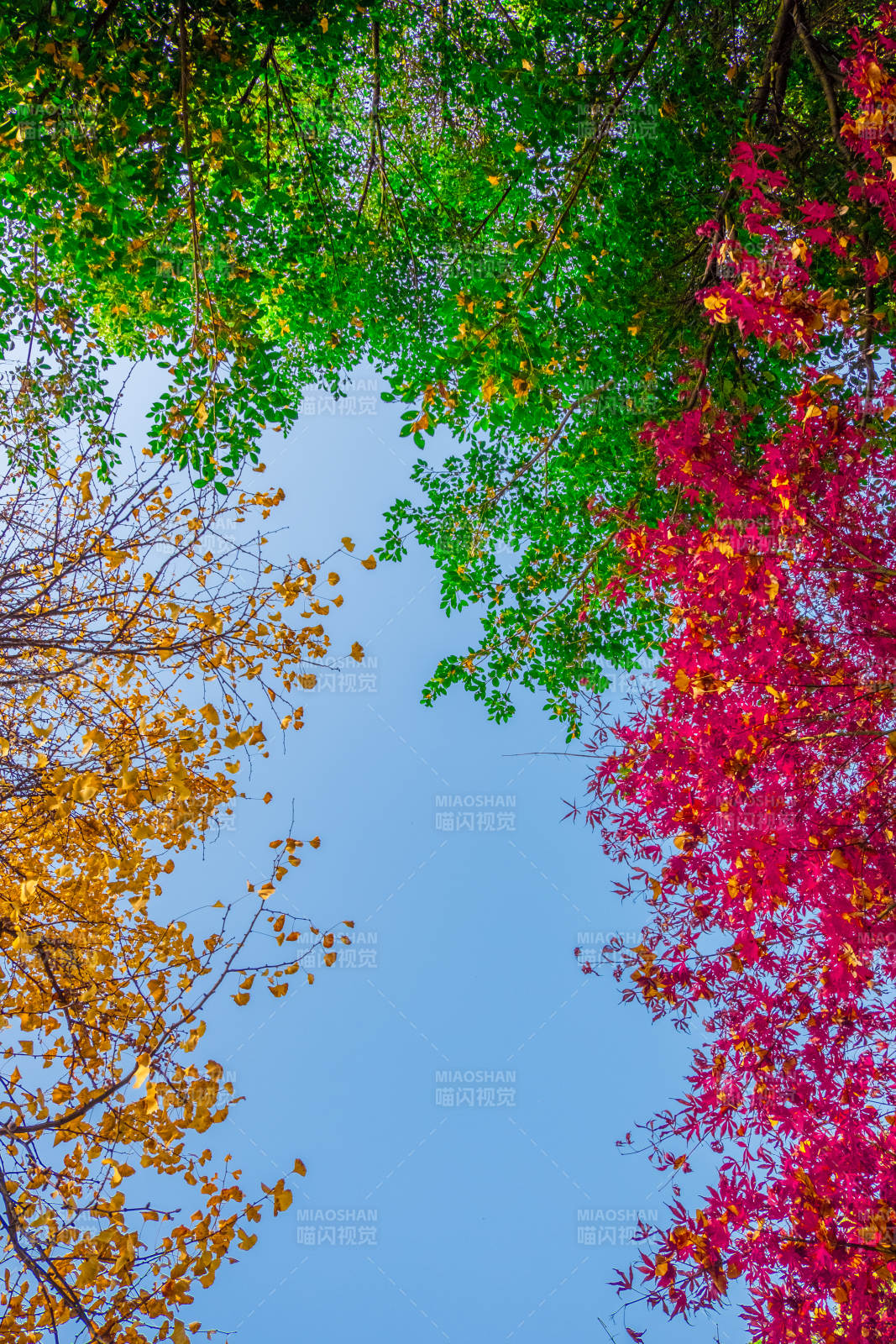 秋色斑斓天际线图片