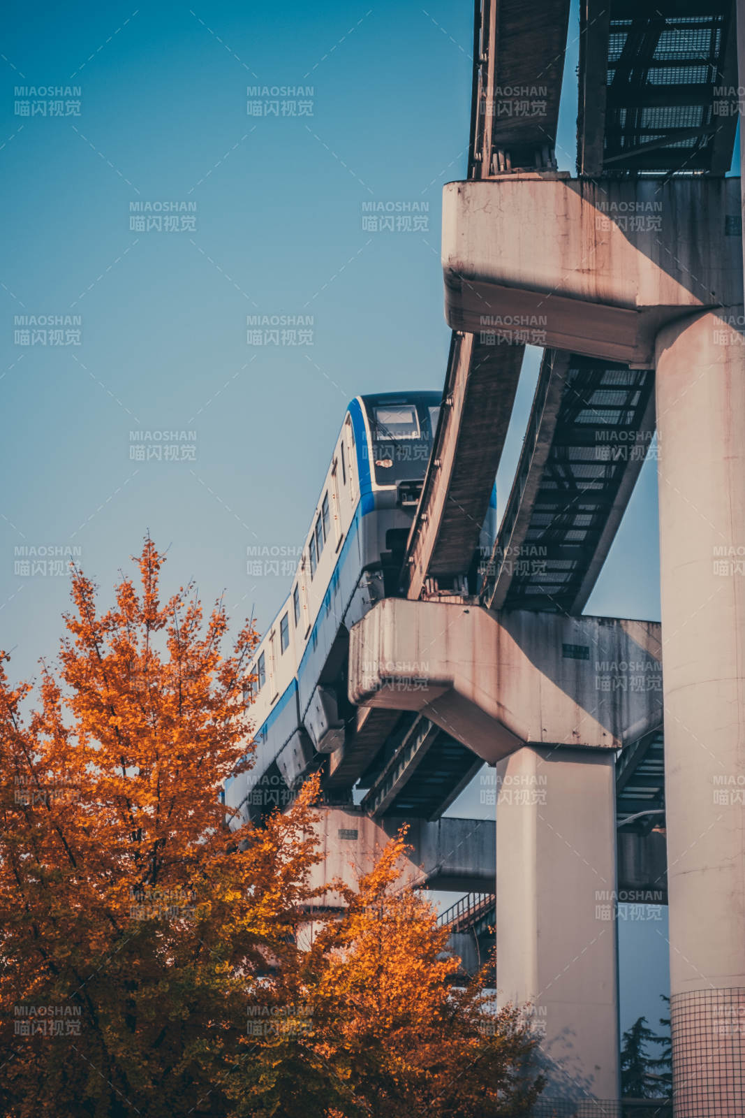 秋日轻轨行图片