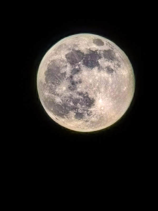 皎洁明月夜图片