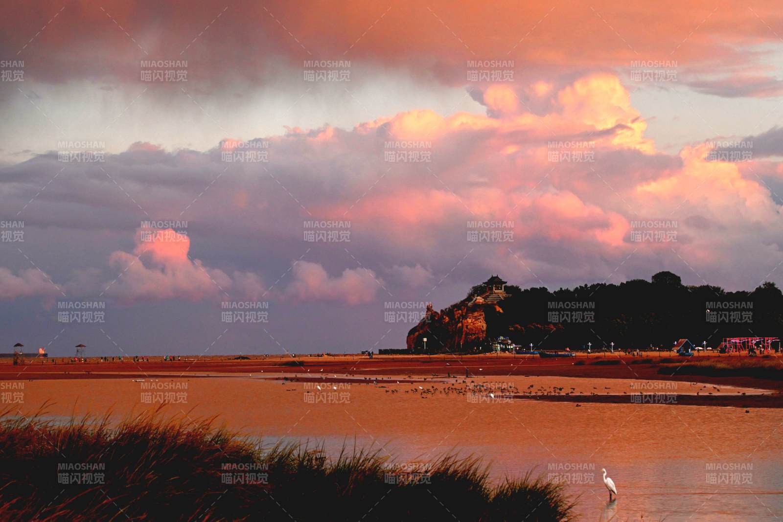夕阳下的湿地风光图片