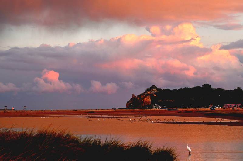 夕阳下的湿地风光图片