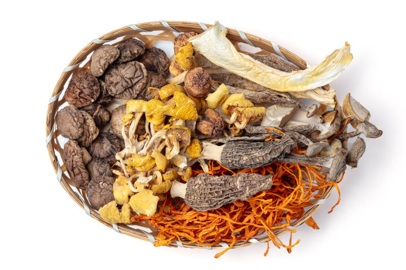 干菌类拼盘图片