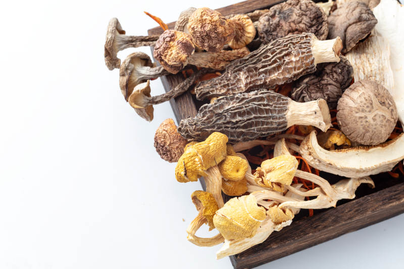 干菌菇拼盘图片