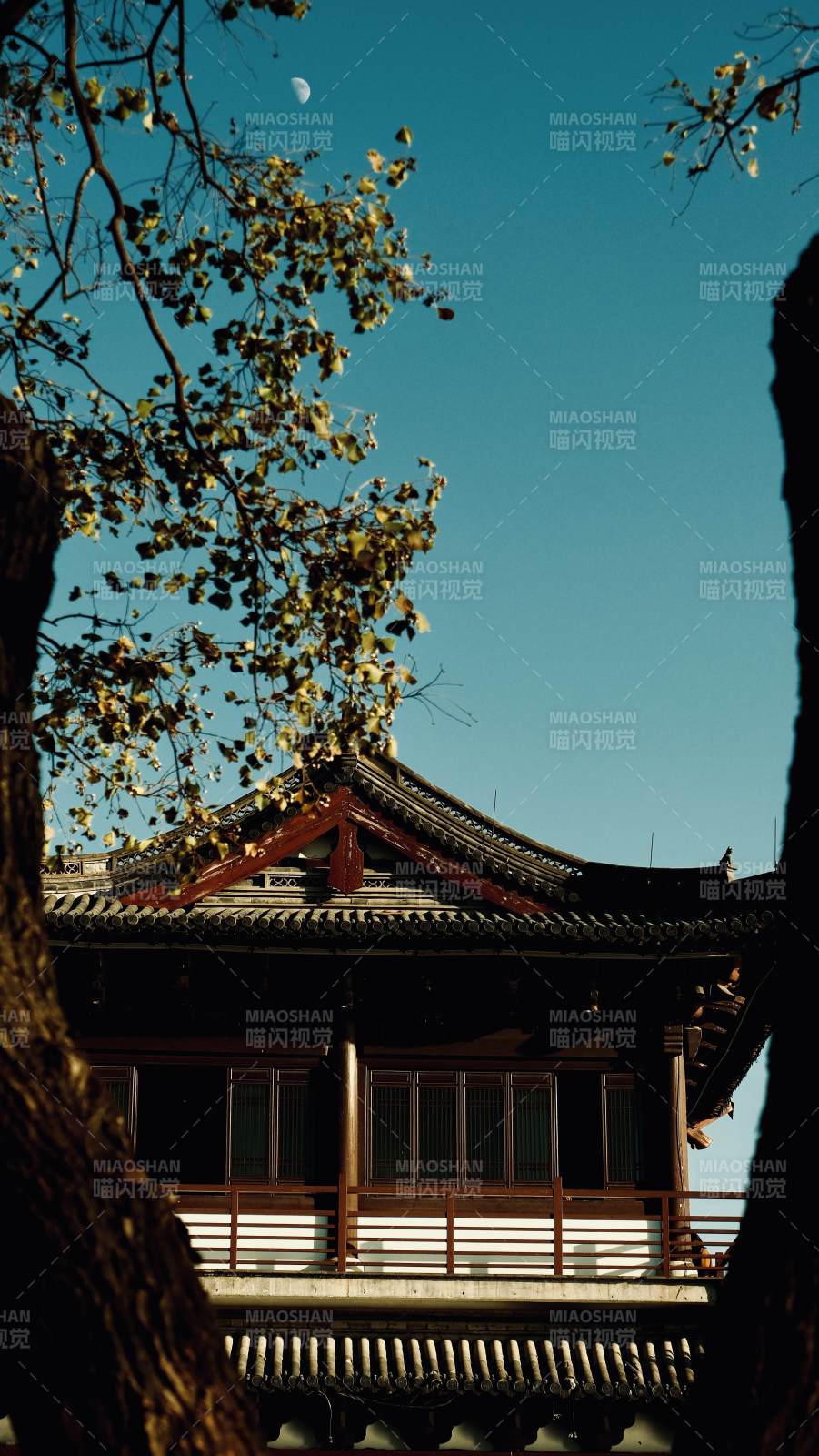 古寺秋景月影图片