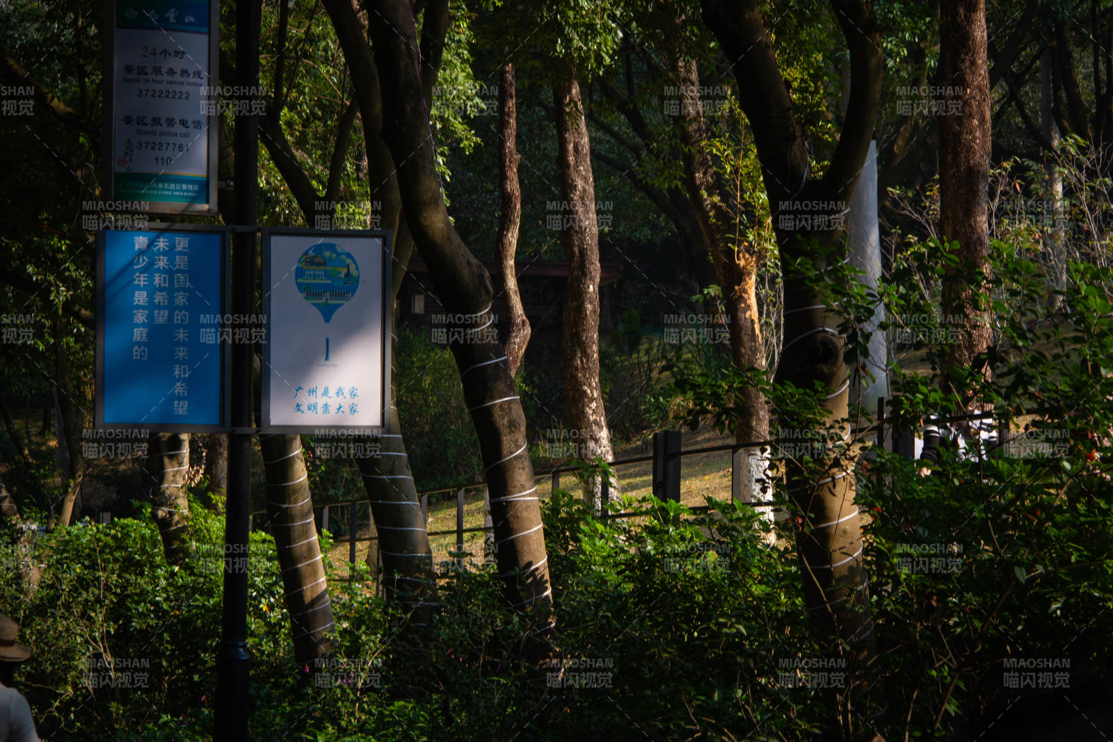 林间小径标识图片