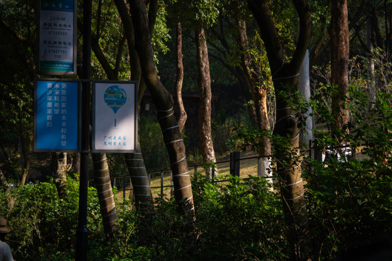 林间小径标识图片