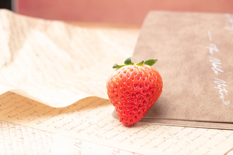 草莓静物图图片