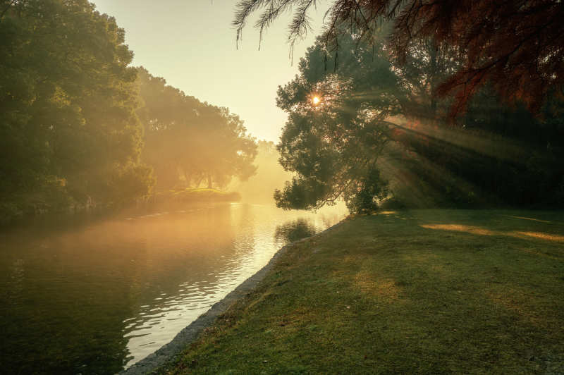 晨光湖畔静谧景图片