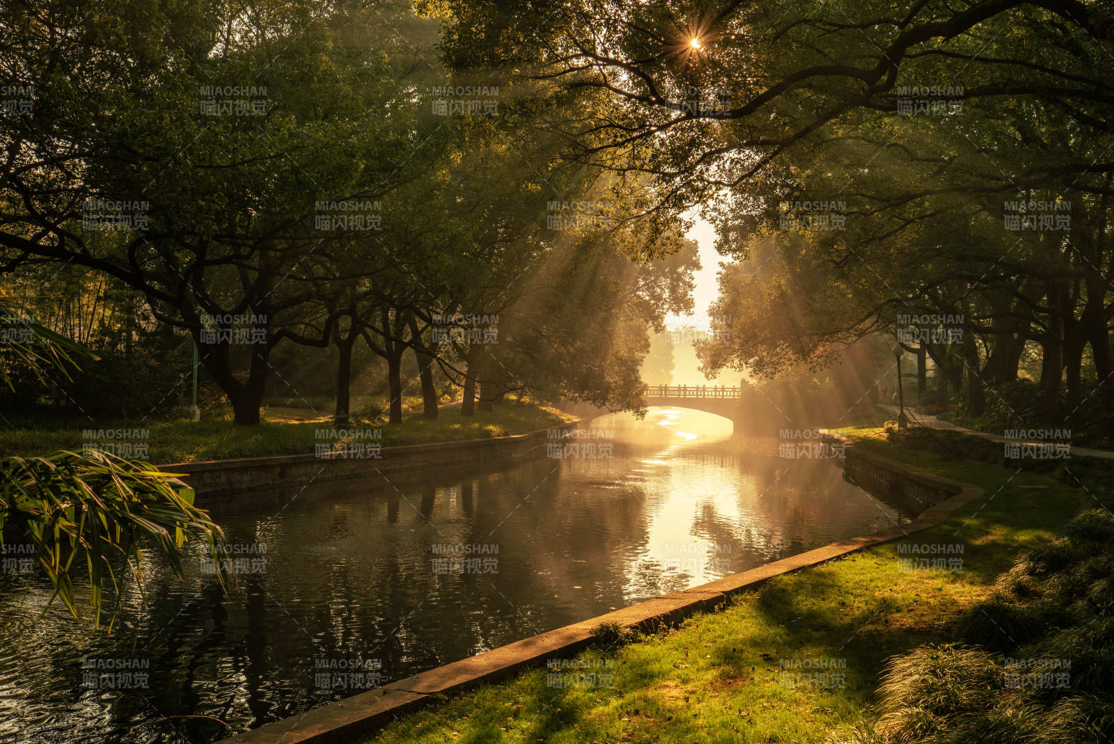 晨光穿林映水景图片