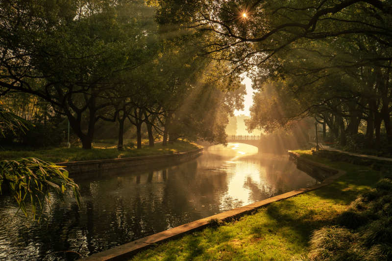 晨光穿林映水景图片