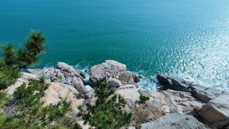 青岛碧海岩石松影图片