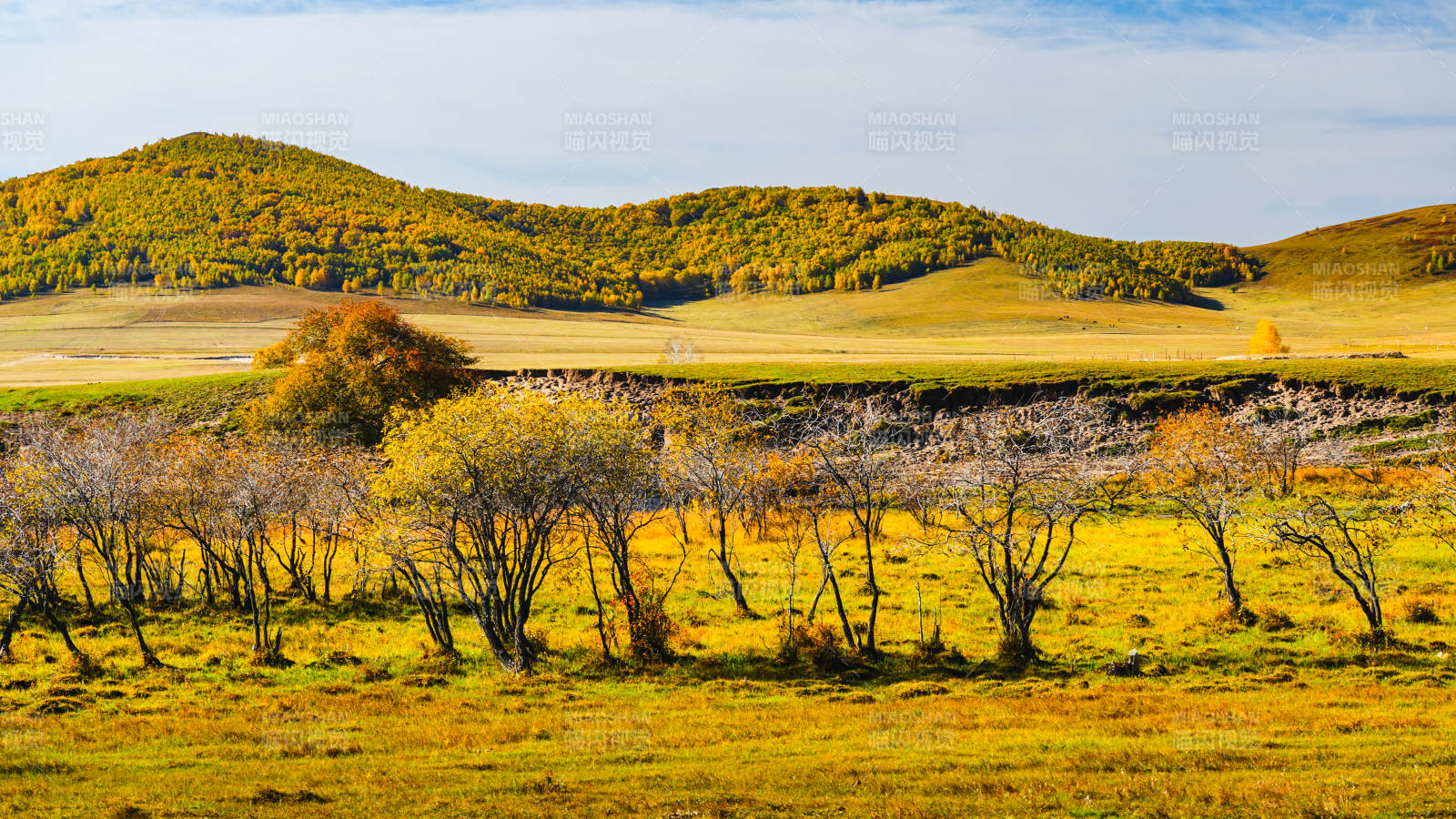 乌兰布统秋日草原风光图片
