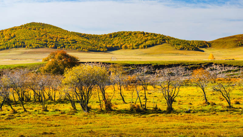 乌兰布统秋日草原风光图片