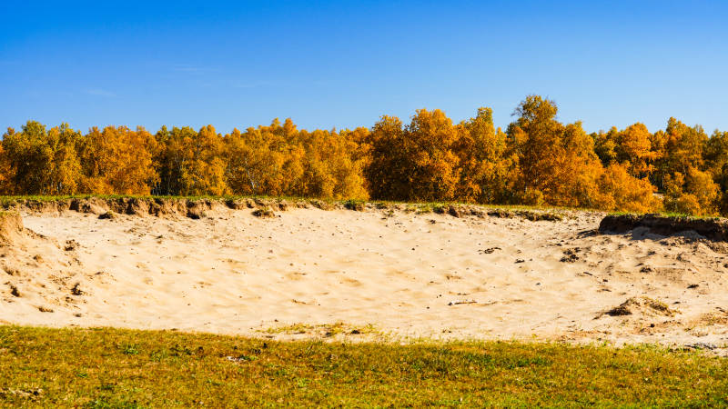 乌兰布统秋林沙地风光图片