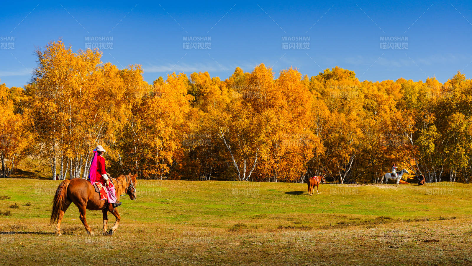 乌兰布统秋日骑马赏景图片