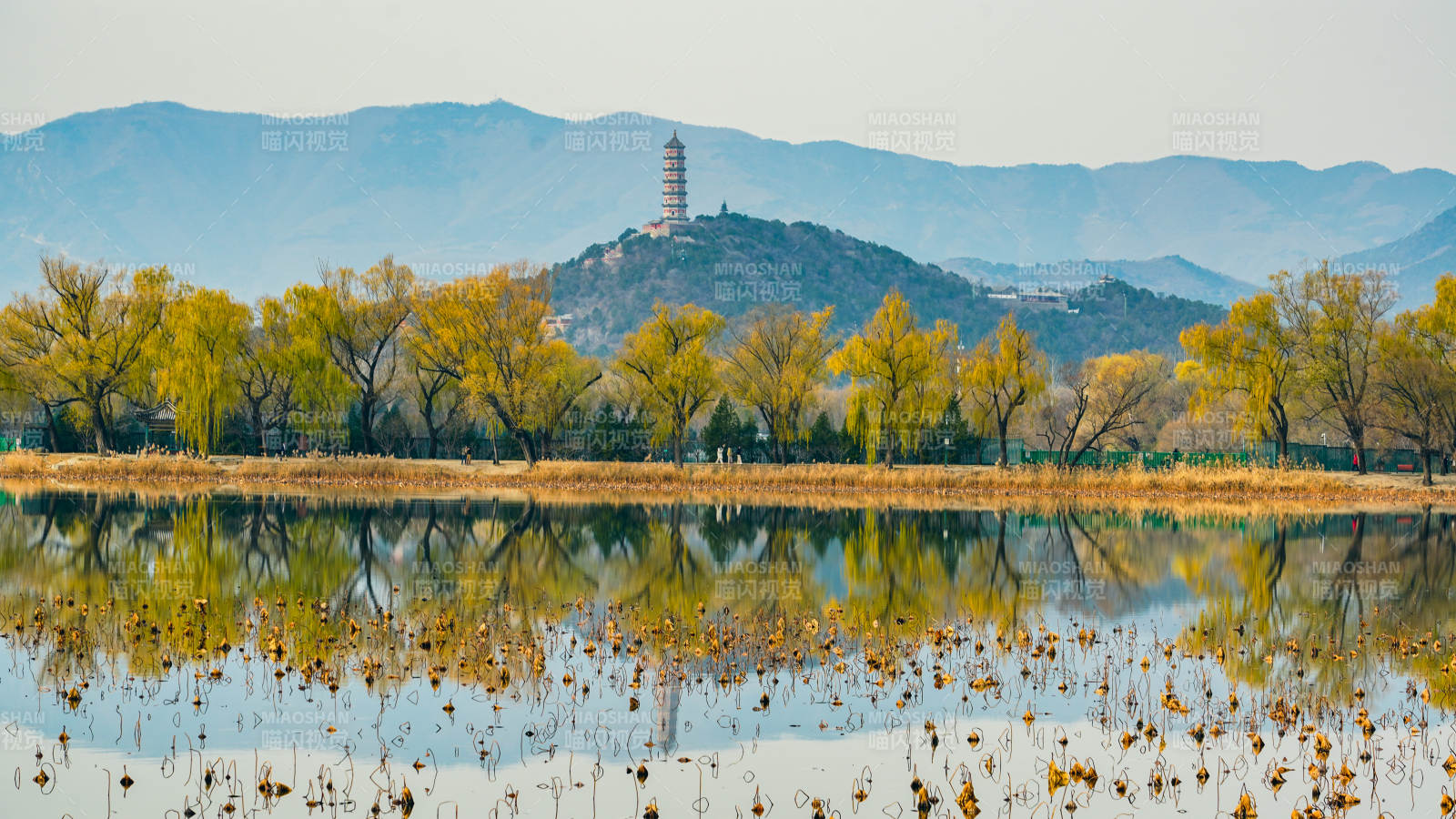 颐和园湖光山色玉峰塔影图片