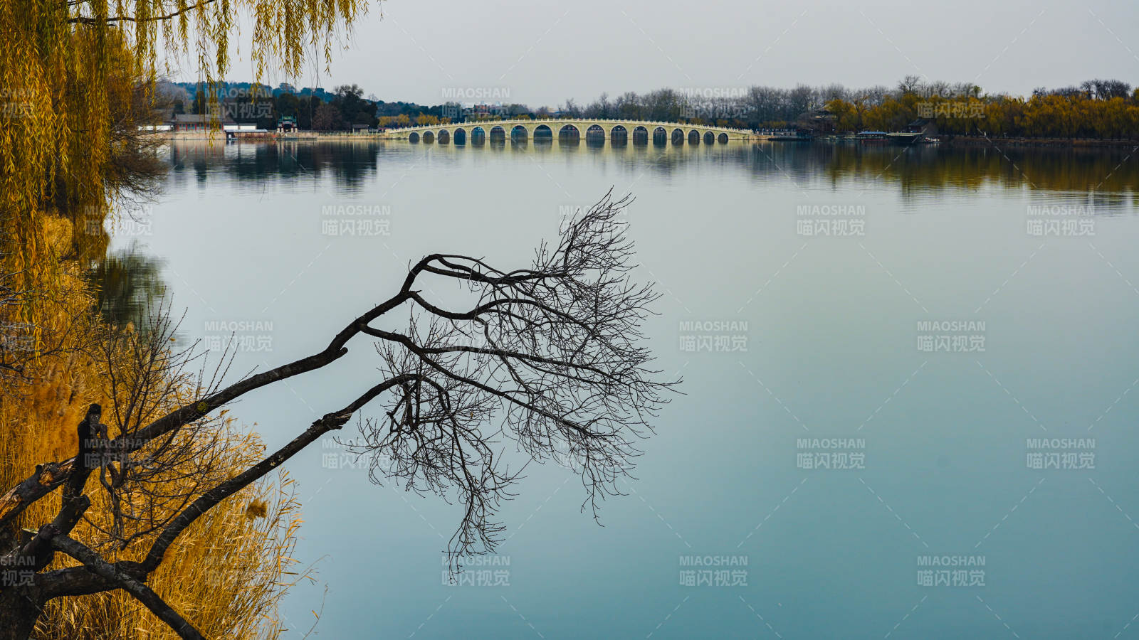 颐和园昆明湖畔秋景静谧美图片