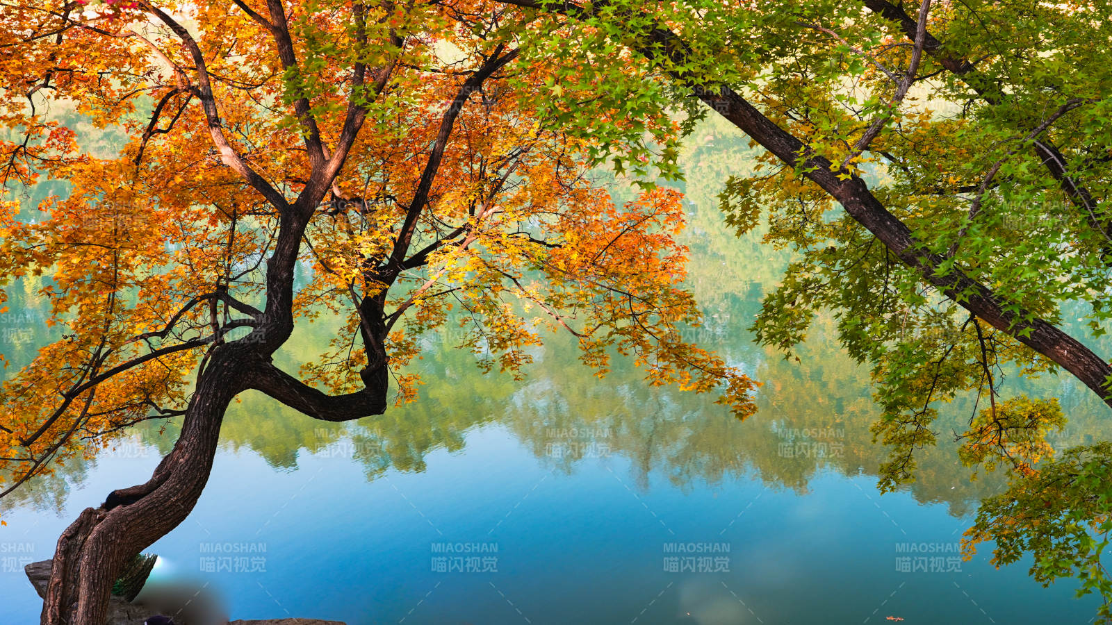 颐和园后湖秋色湖光图片