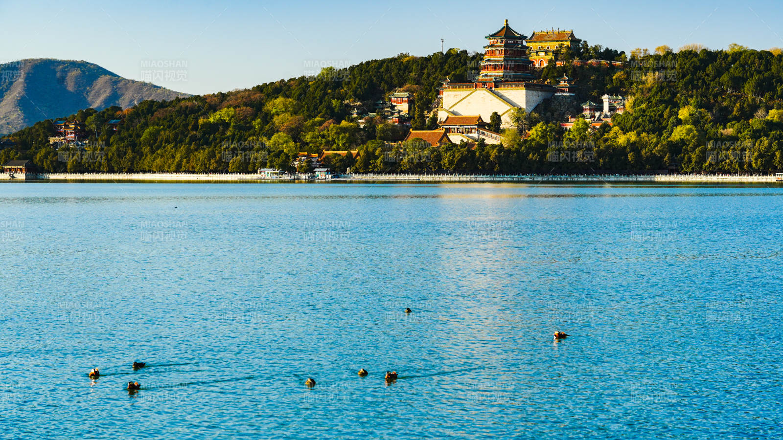 颐和园湖光山色映古塔图片