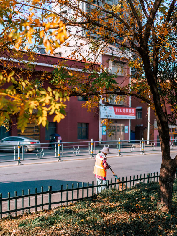 秋日清扫街景图片