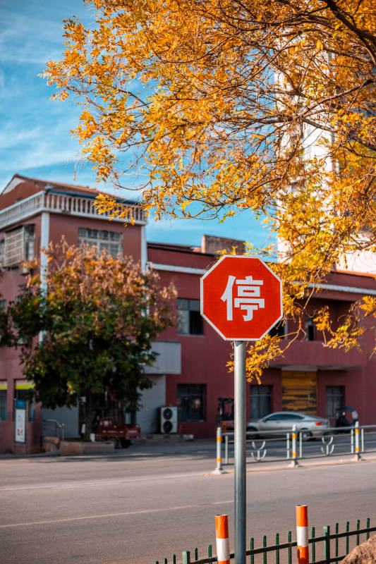 秋日停驻街景图片