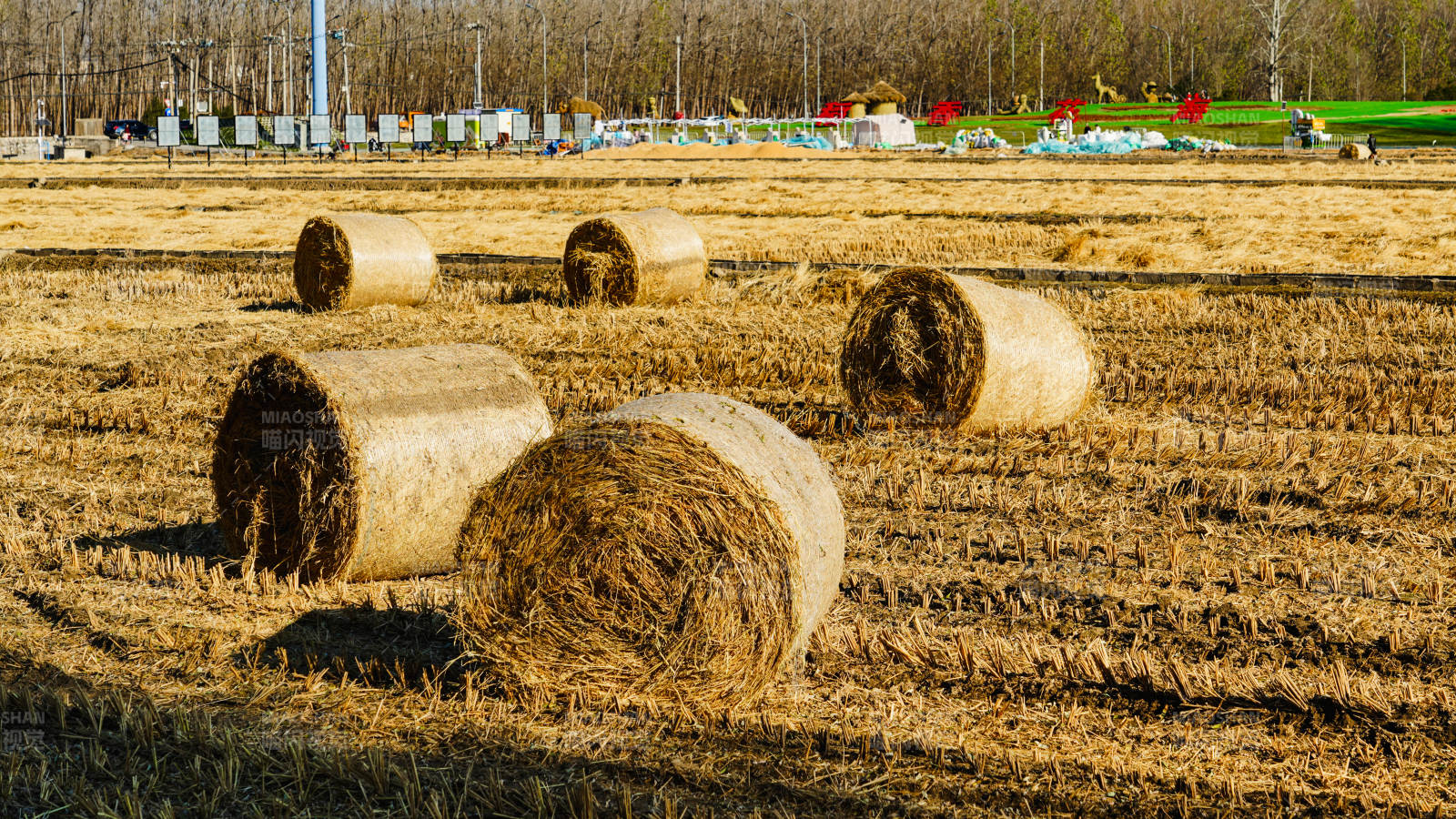 北京京西金秋麦田草垛图片