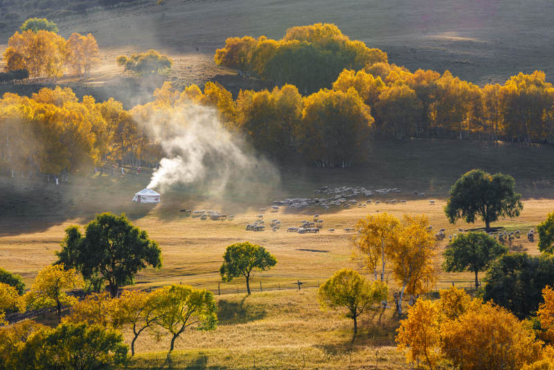 坝上桦木沟蛤蟆坝秋野炊烟袅袅图片