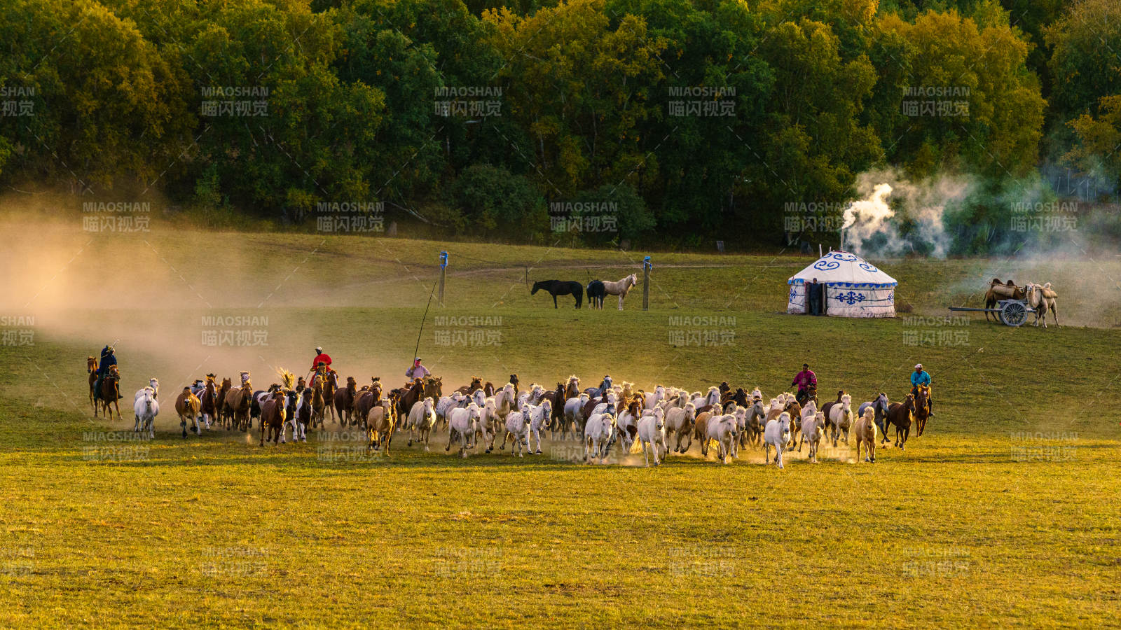 坝上乌兰木统草原牧羊图图片