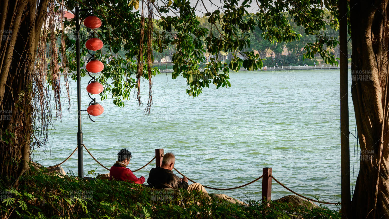 湖畔静坐赏景图片