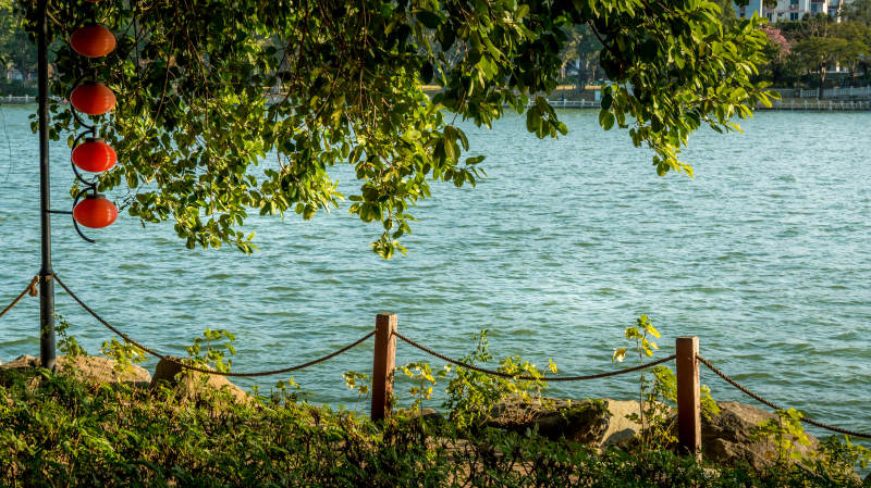 湖畔绿荫红灯笼图片