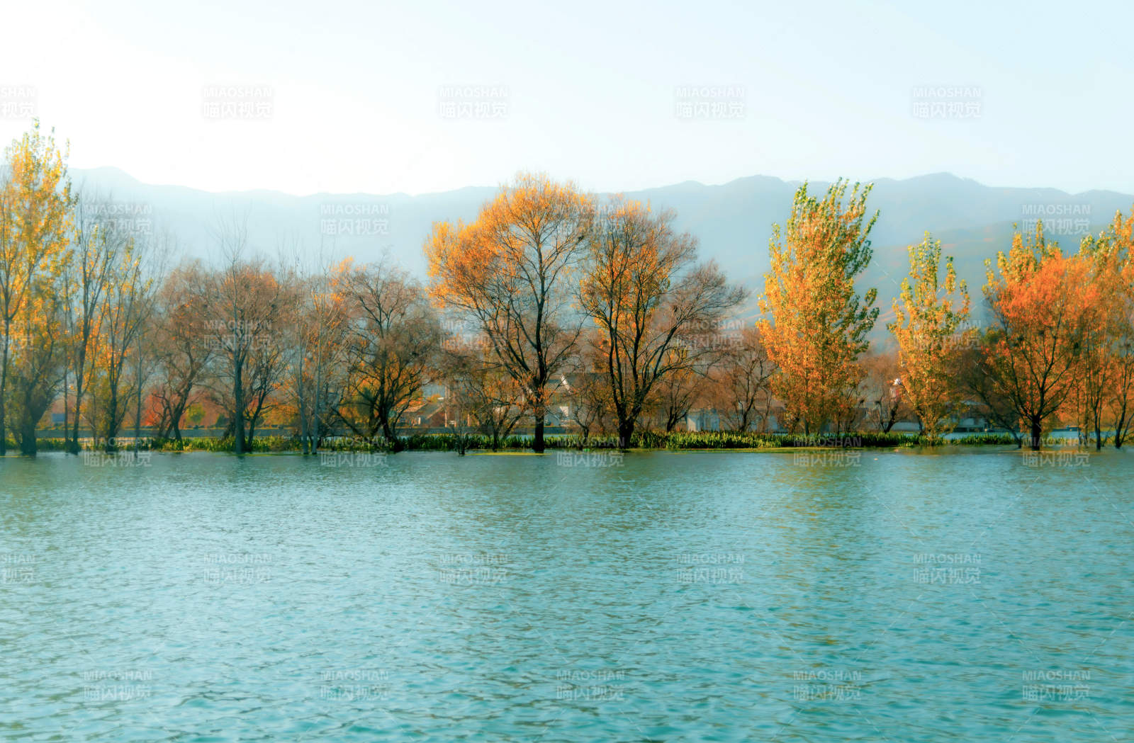 秋湖树影茈碧湖图片