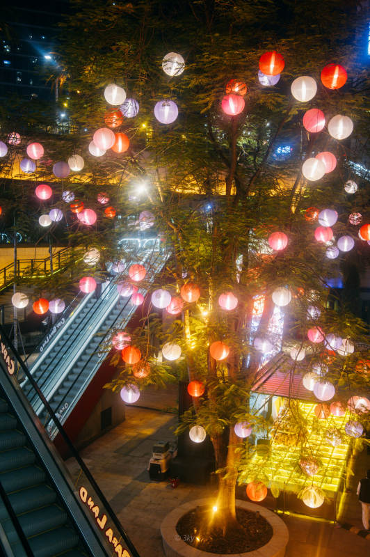 圣诞装饰灯火阑珊夜景图图片