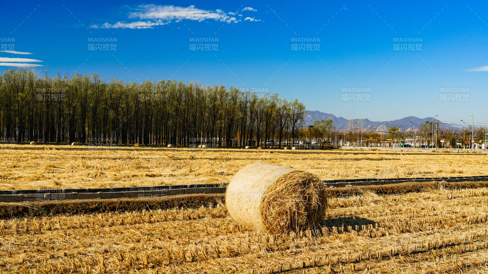 金秋田野稻草堆图片