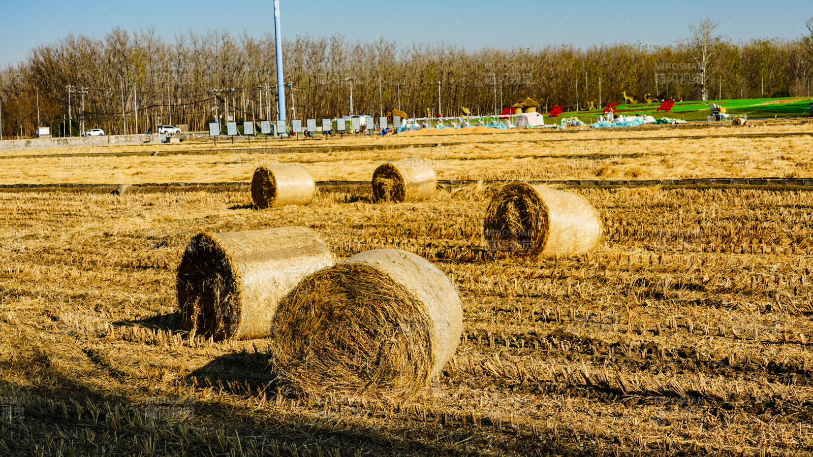 金秋田野草垛图片