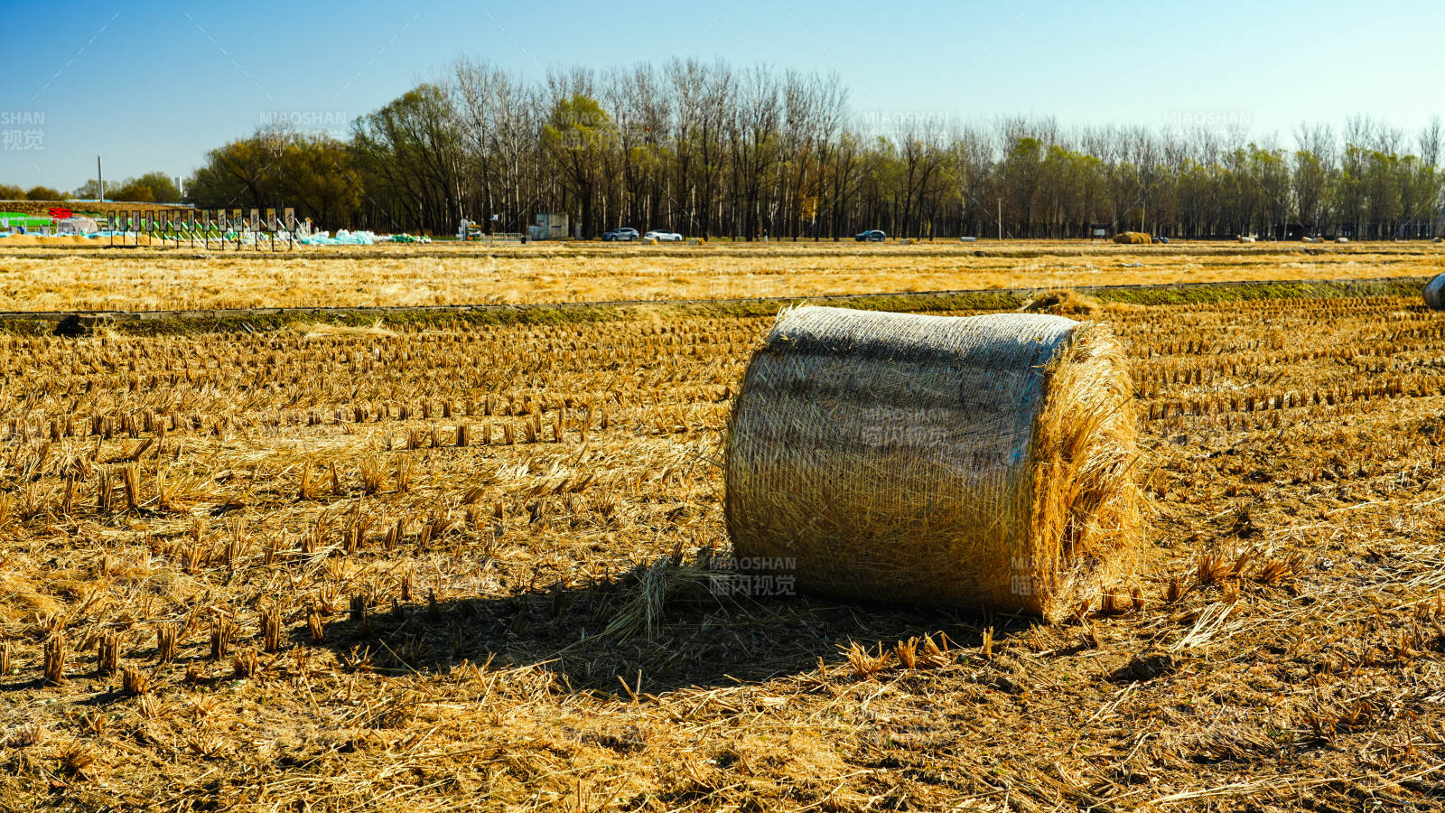 金秋田野草垛图片