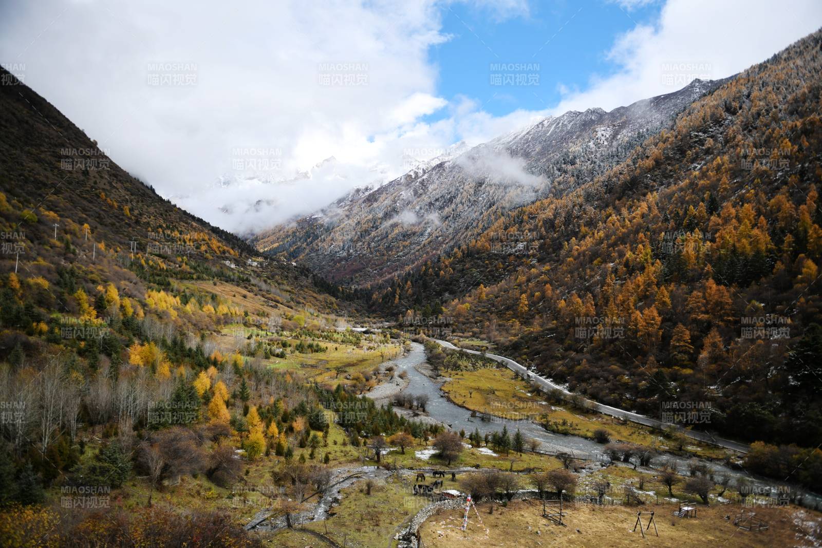 四姑娘山长平沟秋山溪谷风光图片