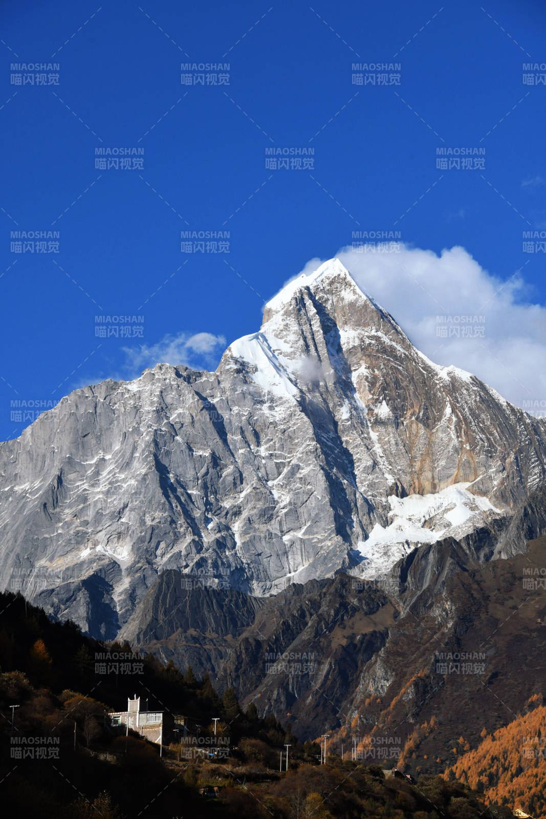 四姑娘山长平沟雪山巍峨入云间图片