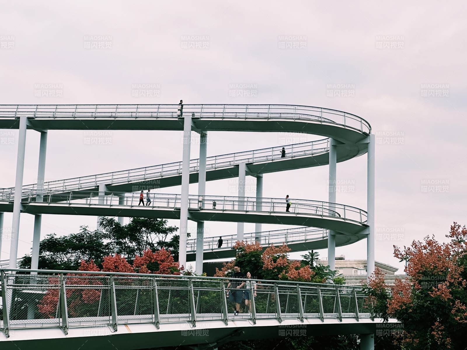 厦门山海步道上的行人图片